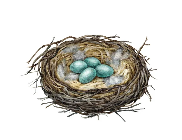 Aconchegante Ninho Pássaros Com Ovos Azuis Ilustração Aquarela Ninho Detalhado — Fotografia de Stock