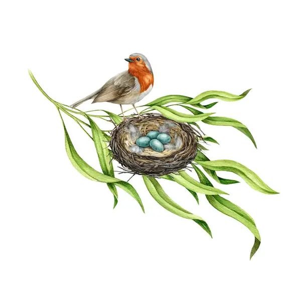 巣の上のロビン鳥は卵を持っています 水彩イラスト 木の枝に巣の上に座っている庭の小さな歌鳥 自然のシーン画像 ロビン鳥 緑の葉 巣が付いている現実的な自然な装飾 — ストック写真