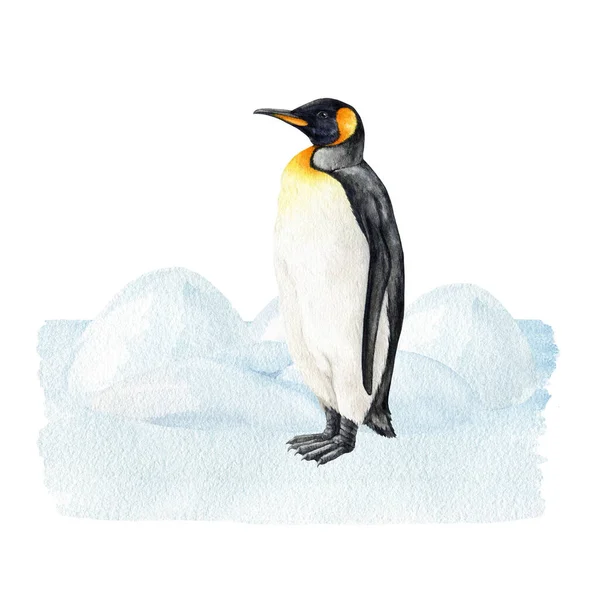 Pingüino Emperador Paisaje Nieve Ilustración Acuarela Pingüino Dibujado Mano Pie — Foto de Stock