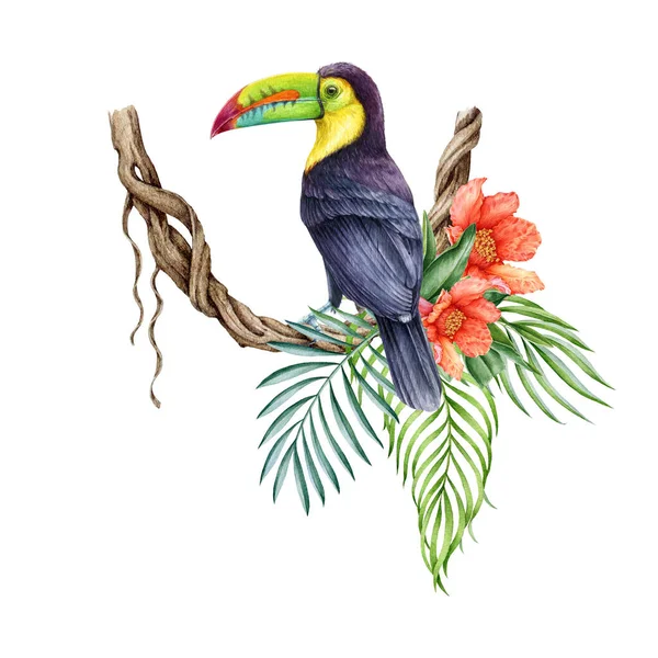 トゥカン トロピカル ジャングルの装飾 トロピカルな葉と花の装飾でねじれたブドウのクリーパーの上にトゥカン 水彩イラスト 緑豊かなヤシの葉 明るい花が付いている美しい熱帯の鳥 — ストック写真