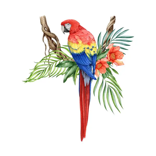 ツイストされたブドウのクリーパーの赤いマカオの鳥は 熱帯の葉と花が装飾されています ウォーターカラーパロットイラスト 緑豊かなヤシの葉 明るい花の装飾が付いている美しい熱帯の鳥 — ストック写真