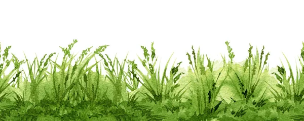 Grama Verde Elemento Fronteira Sem Costura Ilustração Aquarela Grama Exuberante — Fotografia de Stock