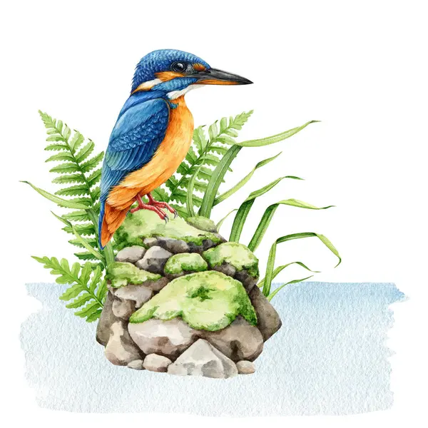 Kungsfiskare Fågel Naturliga Djurliv Akvarell Illustration Skogsfågel Mossig Stenhög Vattnet — Stockfoto