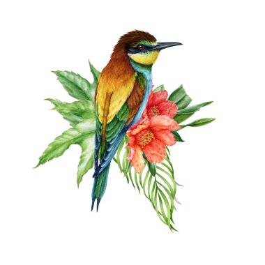 Yaprakları ve çiçek dekoru olan parlak, tropikal bir kuş. Suluboya çizimi. Çiçekli tropikal süslemeli arı yiyici. Kuş desenli parlak egzotik çiçekler. Beyaz arkaplan.