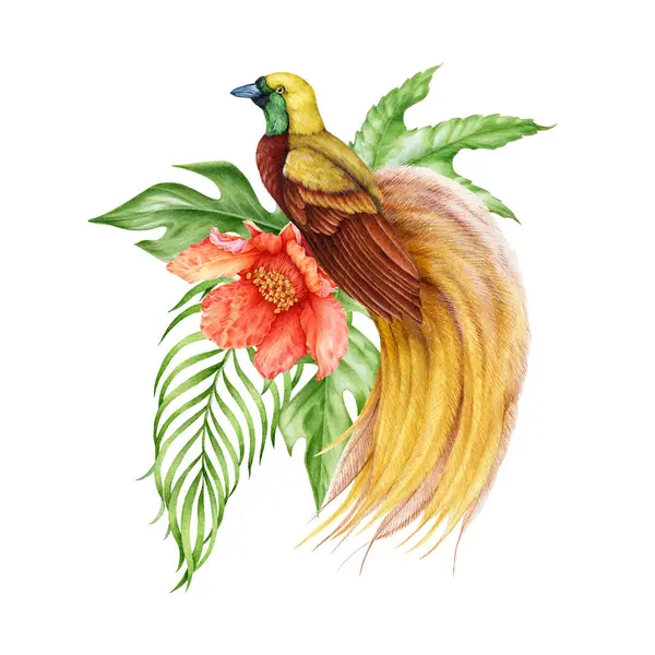 葉と花が飾られたトピカルパラダイスの鳥 水彩イラスト 花のトロピカルデコレーションとパラダイスの鳥 鳥の装飾要素が付いている明るいエキゾチックな花 ホワイトバック — ストック写真