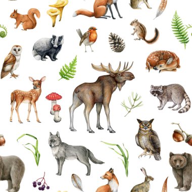 Orman hayvanları, kuşlar ve doğal elementlerin kusursuz desenleri. Suluboya çizimi. Vahşi yaşam koleksiyonu. Elle boyanmış vahşi orman hayvanları, kuşlar, kusursuz doğa elementleri deseni. Beyaz arkaplan.