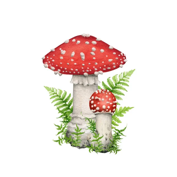 緑色のモスが付いている空洞の森のキノコ 水彩イラスト 手描きの真菌 キジタ マスカリア ヴィンテージスタイルの装飾 フォレストハーブ付きの空気中のキノコのグループ ホワイトバック — ストック写真