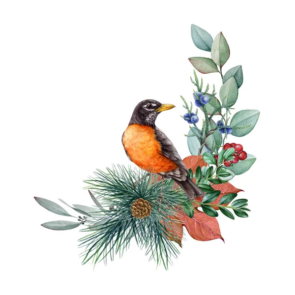 Floral Natural Decor American Robin Bird Watercolor Vintage Style Illustration — Stock Photo, Image
