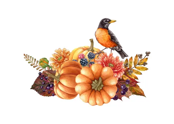 American robin with pumpkins floral autumn rustic decor. Watercolor illustration. Hand drawn cozy autumn vintage style decor with robin bird. Pumpkins, fern, berries, leaves floral bright decoration.