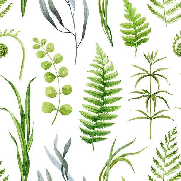 Forest greenery seamless pattern. Watercolor illustration. Hand drawn forest nature decor. Fern, grass, forest herbs, plants, leaves seamless pattern. Lush natural greenery decor. White background.