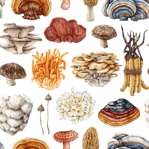 Medicinal mushrooms seamless pattern. Watercolor illustration. Hand painted vintage style fungi elements. Reishi, lions mane, cordyceps, shiitake, maitake medicinal mushrooms on white background.