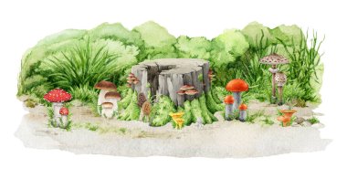 Yerde ağaç kütüğüyle yetişen çeşitli orman mantar grupları. Doğal orman görüntüsü. Suluboya resim. Kral Bolete, Chanterelle, doğal ortamda uçucu agarik, güneş şemsiyesi mantarları.