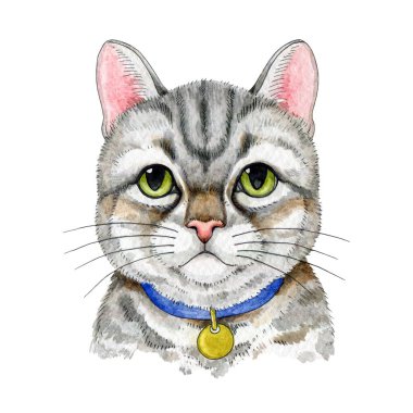 Gri tekir kedi çizgi film çizimi. Çizgili, şirin, suluboya bir kedi portresi. Yeşil gözlü ve bıyıklı gri komik tekir kedicik. Beyaz arkaplanda izole.