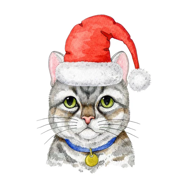 Cute Funny Cat Red Santa Hat Watercolor Illustration Hand Painted — Stock Photo, Image