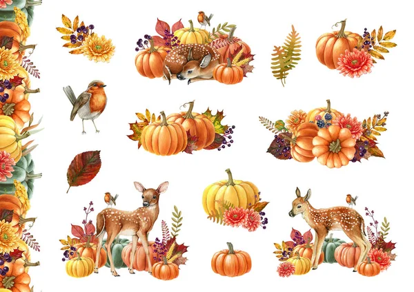 Jesienny Dekoracja Kwiatowa Zestaw Pni Dyń Ilustracja Akwareli Ręcznie Malowany — Zdjęcie stockowe