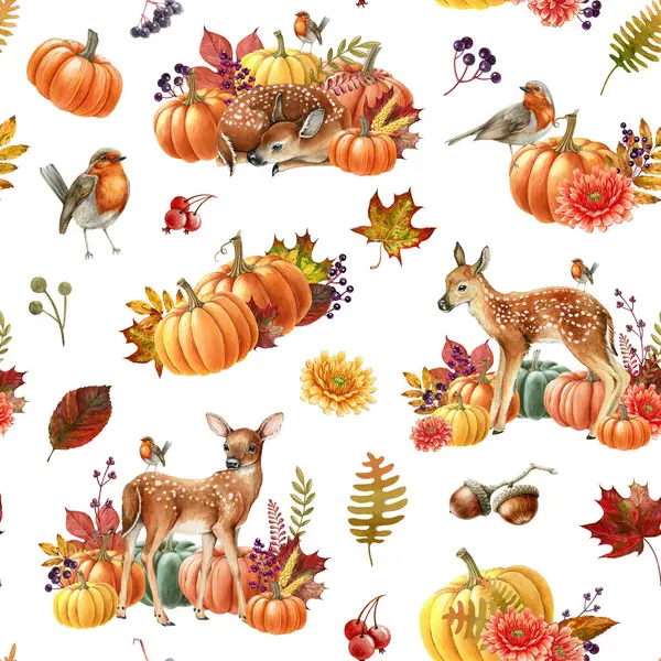 秋装花纹无缝 水彩画 无缝隙图案从橙色明亮的南瓜 花卉装饰 森林鸟类和动物 用鲜艳的色彩装饰舒适的秋天 白人背景 — 图库照片
