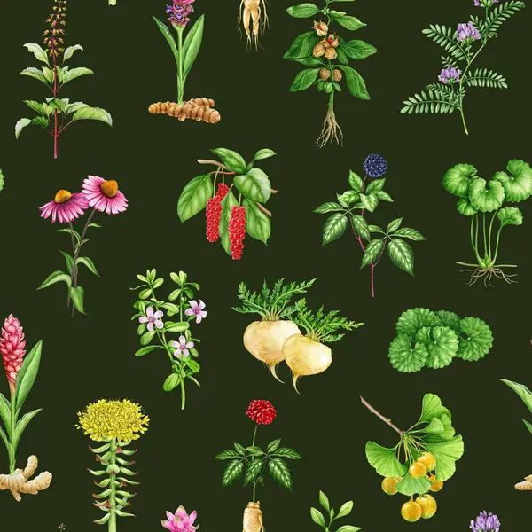 Medicinal adaptogenic plants and herbs seamless pattern. Watercolor botanical illustration. Hand drawn different organic fresh medicinal plant and herb seamless pattern. Dark background.