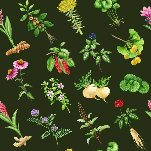 Medicinal adaptogenic plants and herbs seamless pattern. Watercolor illustration. Hand drawn botanical image. Organic fresh medicinal plant and herb seamless pattern. Dark background.