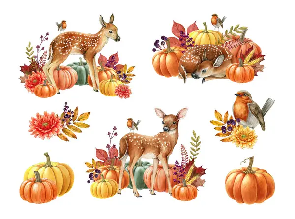 Autumn Cozy Decoration Set Pumpkins Flowers Forest Animals Watercolor Illustration — Stock Photo, Image