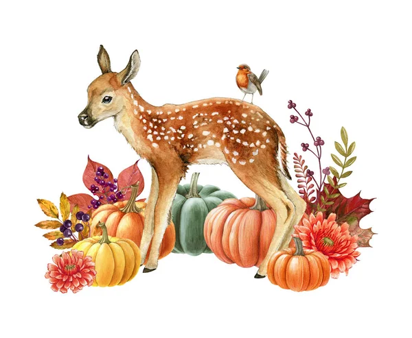 秋天舒适的装饰与小鹿 南瓜和花 水彩画 感恩节节日装饰与自然元素和森林动物 白色背景上的秋天心情舒适 — 图库照片