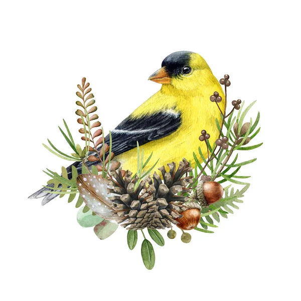 Floral Decor Natural Elements Finch Bird Watercolor Illustration Hand Drawn — Stock Photo, Image
