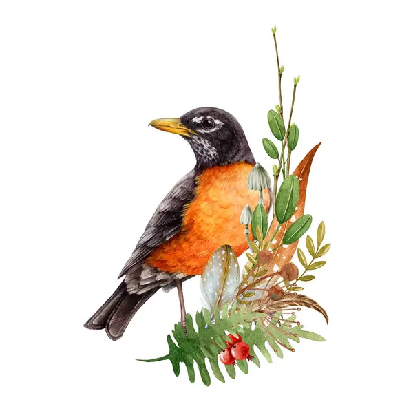 Floral Autumn Decor Robin Bird Natural Forest Elements Watercolor Illustration — Stock Photo, Image