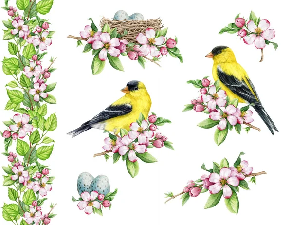 Primavera Concurso Floral Conjunto Decorativo Ilustração Aquarela Pássaros Goldfinch Desenhados — Fotografia de Stock