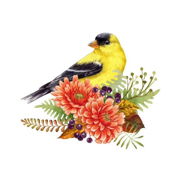 Goldfinch Pássaro Outono Temporada Decoração Floral Ilustração Aquarela Pássaro Jardim — Fotografia de Stock