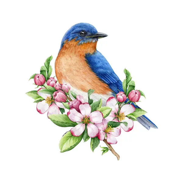 Bluebird Com Decoração Floral Concurso Primavera Ilustração Aquarela Bluebird Com — Fotografia de Stock