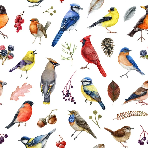 Garden backyard birds seamless pattern. Watercolor illustration. Realistic red cardinal, bluebird, waxwing, robin with natural wild herbs, leaves, berries, natural elements seamless pattern.