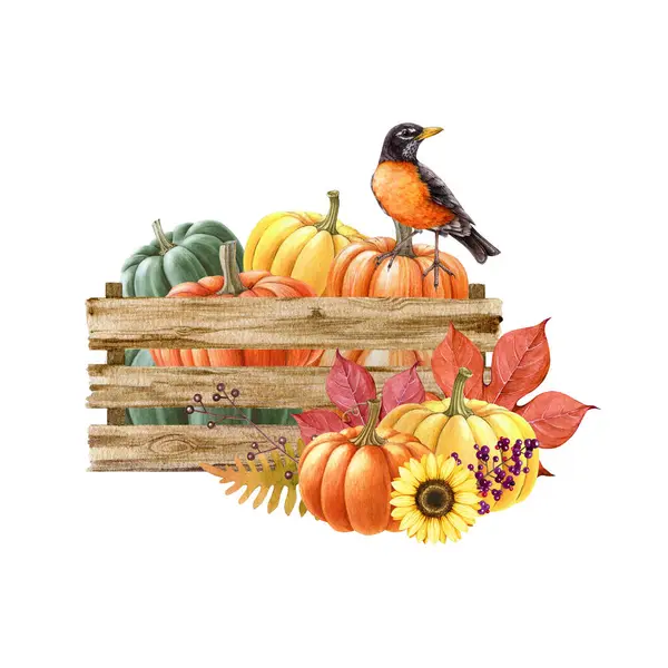Outono Decoração Acolhedora Abóboras Uma Caixa Madeira Estilo Vintage Ilustração — Fotografia de Stock