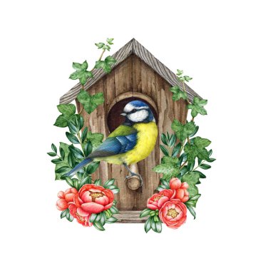 Cute little blue tit bird on the birdhouse with spring flowers decor. Watercolor illustration. Cozy spring decoration. Blue tit nesting in the wooden birdhouse, blooming spring flowers, green leaves.