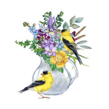 Çiçek desenli beyaz porselen sürahi. Suluboya çizimi. El yapımı, çiçek desenli bahçe çiçekleri ve birkaç ispinoz kuşu. Beyaz arkaplan.