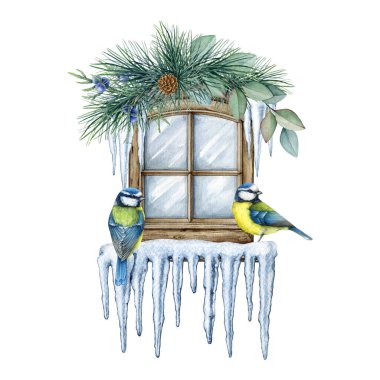 Winter snowy window with blue tits couple decor. Watercolor illustration. Hand painted festive decoration. Winter season decoration with tit birds, pine branches, snow, icicles. White background.
