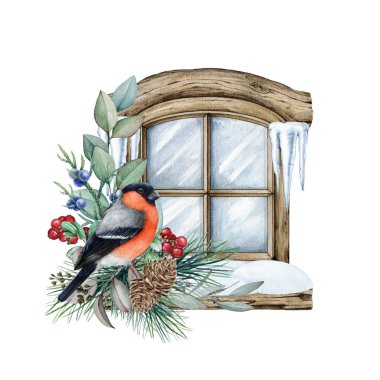 Penceresinde ispinozla birlikte kış şenliği dekorasyonu. Suluboya çizimi. El yapımı klasik pencere, kar, çam dalları, böğürtlen, ispinoz kuşu. Kış sıcacık dekoru. Beyaz arkaplan.