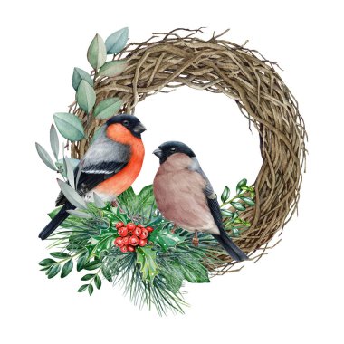 Saka kuşu desenli kış çelengi. Suluboya çizimi. El yapımı Noel şenliği okaliptüs, çam ağacı, çoban kuşu ve birkaç ispinoz kuşuyla süslenmiş. Beyaz arkaplanda izole.