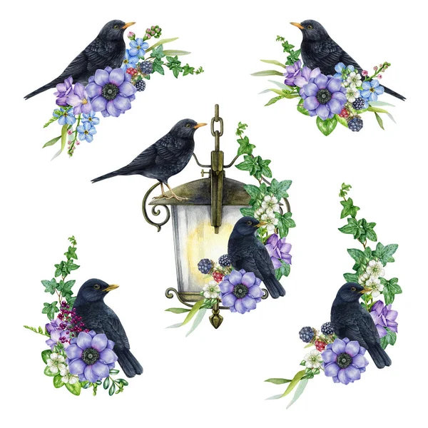 Floral decor with garden flowers and blackbirds set. Watercolor painted illustration. Hand drawn tender garden flowers with blackbird element collection. Isolated on white background.