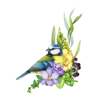 Garden flowers decor with blue tit bird. Watercolor illustration. Painted backyard bird with garden flowers, freesia, leaves decoration element. Floral decor with chickadee. White background.