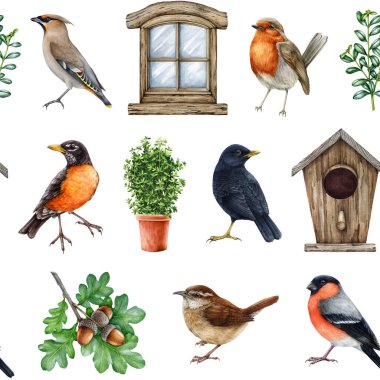 Kırsal bölgelerde doğal elementlere sahip bahçe kuşları. Suluboya çizimi. El çizimi arka bahçe kuş koleksiyonu, kuş evi, ağaç dalı, çalıkuşu, ardıç kuşu, penceresiz desen.