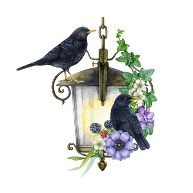 Bahçe çiçeği desenli klasik tip metal fener. Suluboya çizimi. El boyası eski bahçe lambası, çiçek dekoru, bir çift karatavuk. Sallanan fenerde güzel çiçekler. Beyaz arkaplan.