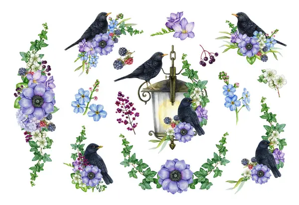 Garden flowers decor with blackbirds set. Watercolor painted illustration. Hand drawn tender garden flowers, blackbird, leaves, berries element collection. Isolated on white background.