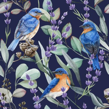 Parlak kuşlar, lavanta çiçekleri, okaliptüs dalları dikişsiz desen. Suluboya çizimi. Mavi kuşlar, lavanta çiçekleri, okaliptüssüz desenler. Doğal zarif element dekoru. Koyu arkaplan.
