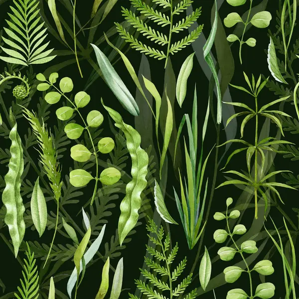 Green lush grass, fern leaves seamless pattern. Watercolor illustration. Hand drawn forest nature decor. Fern, grass, forest herbs, leaves seamless pattern. Lush greenery decor. Dark background.
