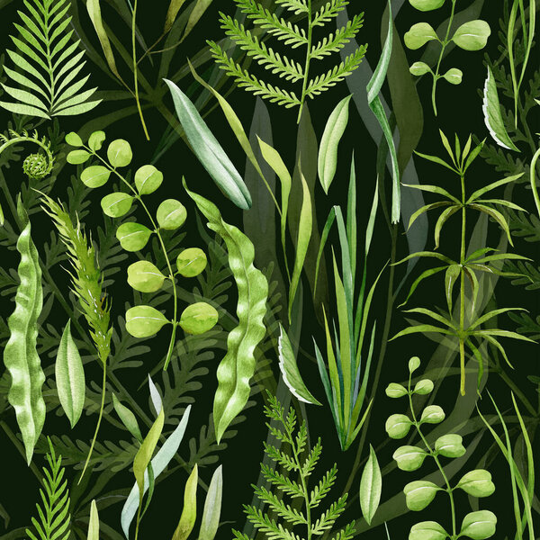 Green lush grass, fern leaves seamless pattern. Watercolor illustration. Hand drawn forest nature decor. Fern, grass, forest herbs, leaves seamless pattern. Lush greenery decor. Dark background.