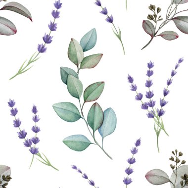 Lavanta çiçekleri ve okaliptüs dikişsiz desen. Suluboya çizimi. Boyanmış organik otlar rustik stil dekorasyon. Okaliptüs dalları dikişsiz lavanta çiçekleri. Beyaz arkaplan.