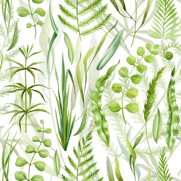 Green lush grass, fern leaves seamless pattern. Watercolor illustration. Hand drawn forest nature decor. Fern, grass, forest herbs, leaves seamless pattern. Lush greenery decor. White background.