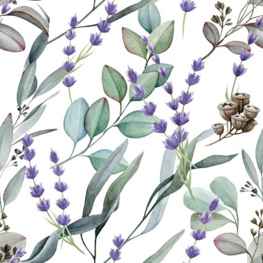 Okaliptüs lavantalı, dikişsiz desen. Suluboya çizimi. Doğal otlar zarif bir süs. El yapımı lavanta ve okaliptüs tıbbi organik bitkinin dikişsiz deseni. Beyaz arkaplan.