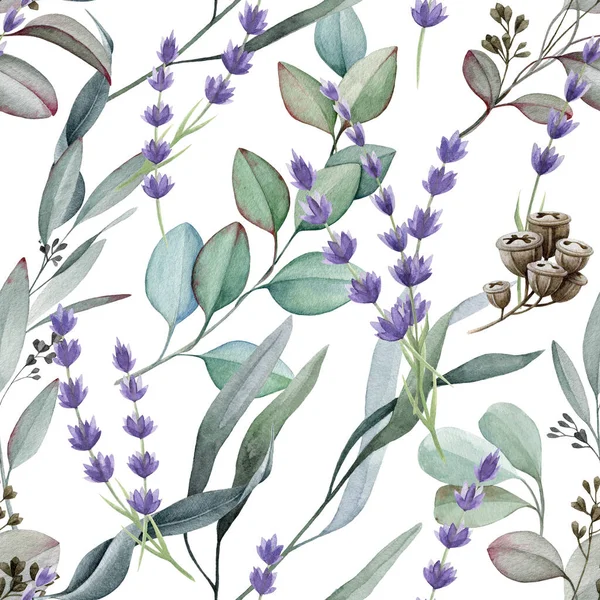 Eucalyptus lavender seamless pattern. Watercolor illustration. Natural herbs elegant ornament. Hand drawn lavender and eucalyptus medical organic plant seamless pattern. White background.