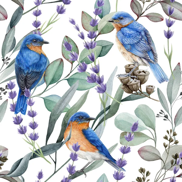 Bright birds with flowers and eucalyptus twigs seamless pattern. Watercolor illustration. Bluebirds, lavender flowers, eucalyptus seamless pattern. Natural wildlife element decor. White background.