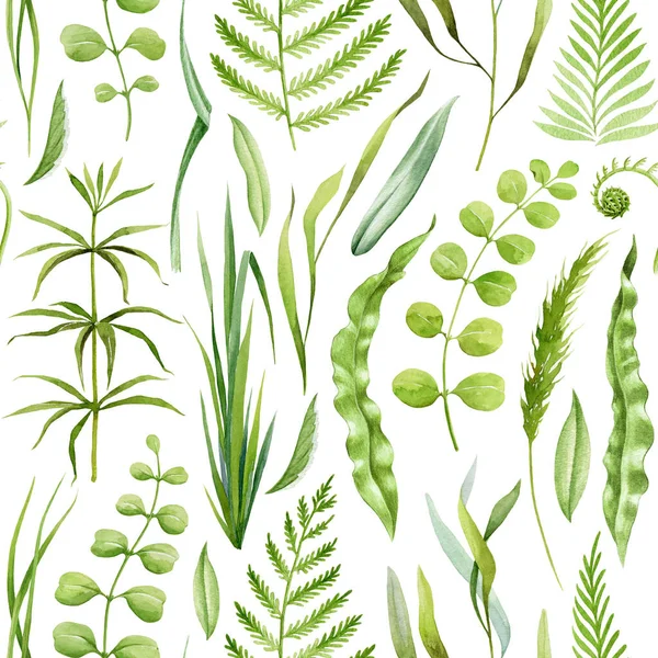 Green plants, fern, grass, forest herbs seamless pattern. Watercolor illustration. Hand drawn forest nature decor. Grass, fern leaves seamless pattern. Lush greenery botanical decor. White background.